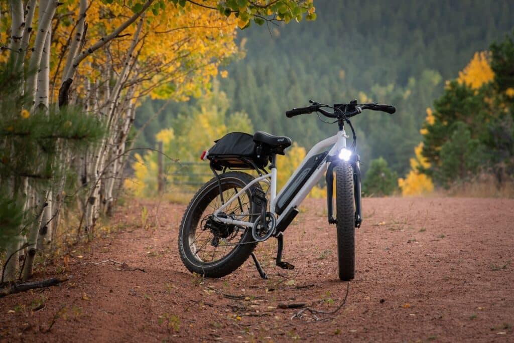 Ebike conversion kit with battery