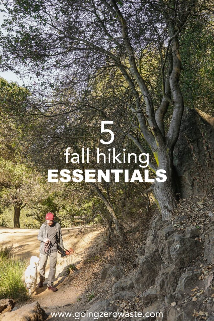 man and his dog hiking with overlay text reading "5 fall hiking essentials" to depict this is a hiking essentials list